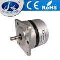 DC-Motor mit niedrigem Drehmoment und hohem Drehmoment Bürstenloser DC-Motor 36 V DC-Motor